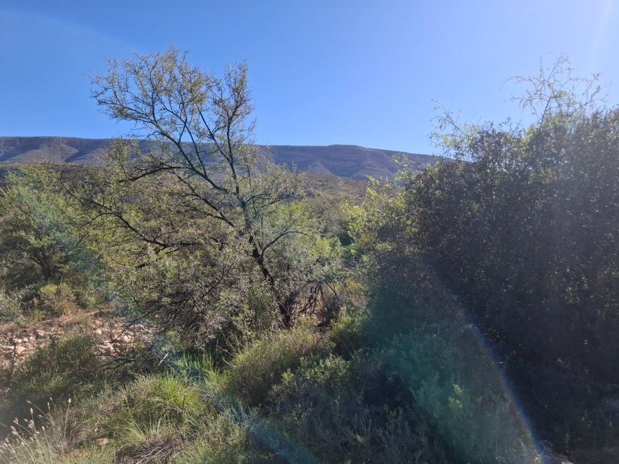  Bedroom Property for Sale in Ladismith Rural Western Cape